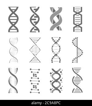 Symboles de la technologie de recherche sur l'adn humain. Structure hélicoïdale ADN, modèle génomique et code génétique humain. Jeu d'illustrations vectorielles isolées Illustration de Vecteur