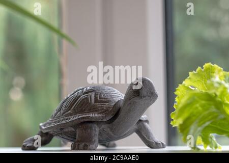 une petite tortue de fer brun paresseuse sur une surface blanche devant une feuille de salade verte près de la fenêtre, idée de vivre lentement, manger lentement, profiter du mode de vie de la campagne, garder l'animal artificiel à la maison Banque D'Images