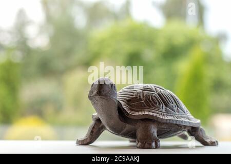 une petite tortue de fer brun sur une surface blanche près de la fenêtre devant un jardin vert par un beau jour d'été, une idée de vie lente, profiter de la campagne saine mode de vie, animal de compagnie artificiel Banque D'Images