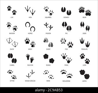 Ensemble de différentes pistes de silhouette d'animaux et d'oiseaux avec description isolée sur fond blanc illustration de vecteur plat Illustration de Vecteur