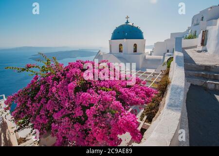 Dôme bleu et bâtiments blancs à Fira, Santorin. Ciel clair et fleurs roses. Endroit célèbre en Grèce Banque D'Images