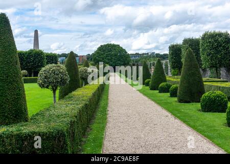 Une avenue de Buxus sempervirens (usine de fabrication de boîtes) est organisée ici comme cônes topiaires dans l'hôpital Royal, Kilmainham, Dublin, Irlande. Banque D'Images