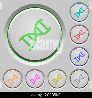 Icônes de couleur des molécules d'ADN sur les boutons-poussoirs coulés Illustration de Vecteur