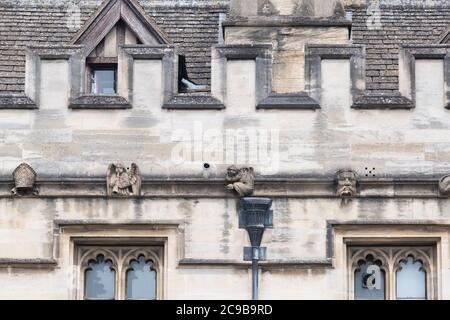 Gargoyle le long de l'extérieur de l'université de Magdalen. Oxford. Oxfordshire, Angleterre Banque D'Images