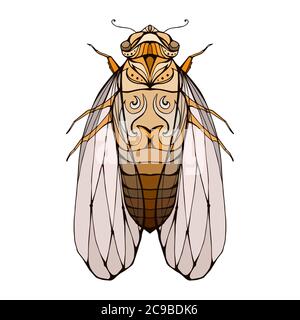 Illustration de cicada colorée avec motif boho. Elément vectoriel pour colorier les imprimés, pour les tee-shirts, les tatouages et un croquis pour votre créativité Illustration de Vecteur