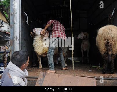 Mumbai, Inde. 29 juillet 2020. L'homme charge des moutons dans un camion à un marché de chèvre avant Eid al-Adha.les ventes de chèvres et de moutons ont considérablement chuté cette année en raison de la crise du coronavirus (Covid-19) ainsi que le verrouillage. Crédit : SOPA Images Limited/Alamy Live News Banque D'Images