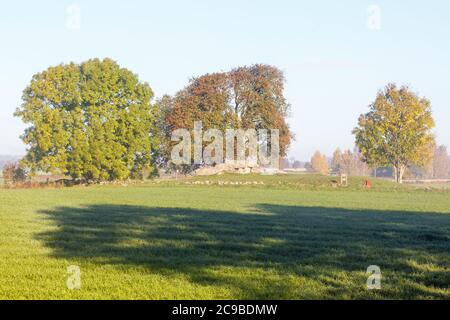 Megalith tombe sur une colline dans un champ à la campagne Banque D'Images