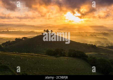 Bridport, Dorset, Royaume-Uni. 30 juillet 2020. Météo Royaume-Uni. Un lever de soleil spectaculaire à Colmers Hill près de Bridport dans Dorset tandis que le soleil levant envoie des rayons du soleil qui brillent à travers les nuages bas avant une journée d'été chaude prévue. Crédit photo : Graham Hunt/Alamy Live News Banque D'Images