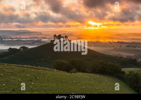 Bridport, Dorset, Royaume-Uni. 30 juillet 2020. Météo Royaume-Uni. Un lever de soleil spectaculaire à Colmers Hill près de Bridport dans Dorset tandis que le soleil levant envoie des rayons du soleil qui brillent à travers les nuages bas avant une journée d'été chaude prévue. Crédit photo : Graham Hunt/Alamy Live News Banque D'Images
