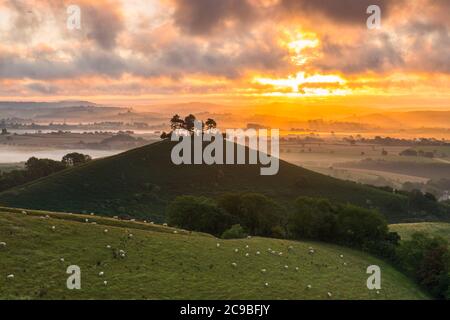 Bridport, Dorset, Royaume-Uni. 30 juillet 2020. Météo Royaume-Uni. Un lever de soleil spectaculaire à Colmers Hill près de Bridport dans Dorset tandis que le soleil levant envoie des rayons du soleil qui brillent à travers les nuages bas avant une journée d'été chaude prévue. Crédit photo : Graham Hunt/Alamy Live News Banque D'Images
