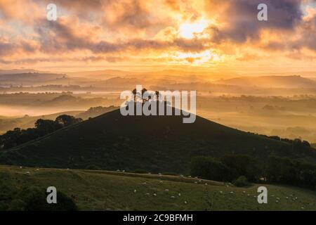 Bridport, Dorset, Royaume-Uni. 30 juillet 2020. Météo Royaume-Uni. Un lever de soleil spectaculaire à Colmers Hill près de Bridport dans Dorset tandis que le soleil levant envoie des rayons du soleil qui brillent à travers les nuages bas avant une journée d'été chaude prévue. Crédit photo : Graham Hunt/Alamy Live News Banque D'Images