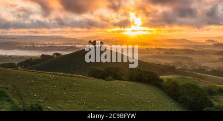 Bridport, Dorset, Royaume-Uni. 30 juillet 2020. Météo Royaume-Uni. Un lever de soleil spectaculaire à Colmers Hill près de Bridport dans Dorset tandis que le soleil levant envoie des rayons du soleil qui brillent à travers les nuages bas avant une journée d'été chaude prévue. Crédit photo : Graham Hunt/Alamy Live News Banque D'Images
