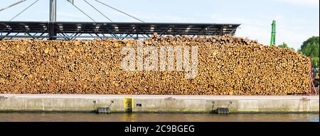 Grande pile de bois au quai de la rivière Trave (près de la mer Baltique). Pile de bois. Banque D'Images