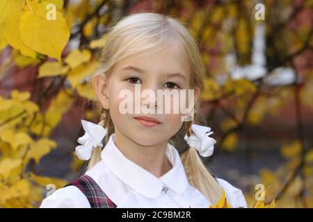 Une écolière blonde de race blanche va à l'école en automne sur fond de feuilles jaunes Banque D'Images