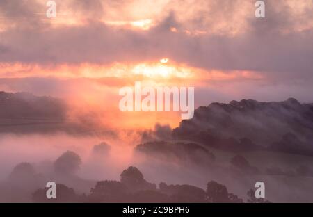 Pilsdon, Bridport, Dorset, Royaume-Uni. 30 juillet 2020. Météo au Royaume-Uni : le soleil se lève sur la magnifique vallée de Marshwood près de Bridport, baignant le paysage rural brumeux dans une couleur vive et chaleureuse. Credit: Celia McMahon/Alamy Live News Banque D'Images