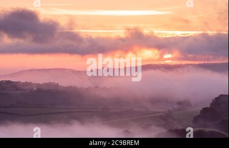 Pilsdon, Bridport, Dorset, Royaume-Uni. 30 juillet 2020. Météo au Royaume-Uni : le soleil se lève sur la magnifique vallée de Marshwood près de Bridport, baignant le paysage rural brumeux dans une couleur vive et chaleureuse. Credit: Celia McMahon/Alamy Live News Banque D'Images