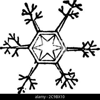 La neige est une eau solidifiée dans des cristaux stellaires, modifiée et flottant dans l'atmosphère. Ces cristaux proviennent de la congélation des vésicules qui Illustration de Vecteur