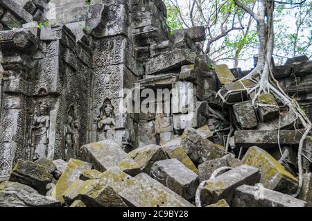 Cambodge: Beng Mealea est un temple khmer du XIe siècle, non restauré avec des passerelles surélevées pour les visiteurs pour voir le complexe. Banque D'Images