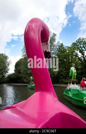 Nord de Londres, Angleterre ; Royaume-Uni.Alexandra Palace, lac nautique. Pédalo Flamingo. Banque D'Images