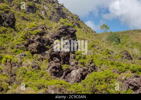 Sentier de randonnée de Gruta do natal sur l'île de Terceira aux Açores. Banque D'Images