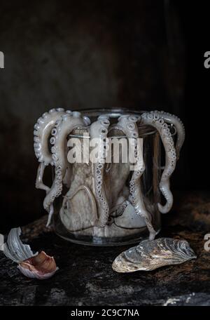 Pieuvre fraîche dans un pot en verre Banque D'Images