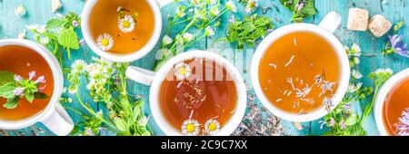 Ensemble de tisanes différent. Différentes tasses à base de plantes biologiques, thé de fleur - camomille, chicorée, menthe melissa, lavande. Concept de boissons naturelles bio. H Banque D'Images