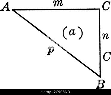 Triangle droit avec base m, côté perpendiculaire n et hypotense p, dessin de ligne vintage ou illustration de gravure. Illustration de Vecteur