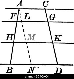 Quatre lignes tracées parallèles l'une par rapport à l'autre et deux lignes se croisant entre les points A et B et C à D, un dessin de ligne vintage ou un rapport d'illustration Illustration de Vecteur