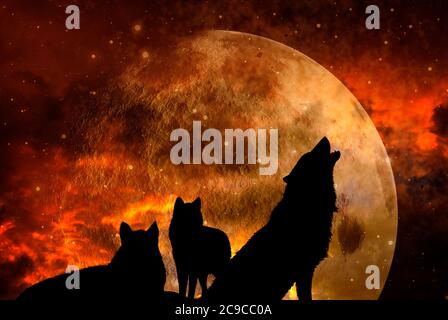 pack de loups hurlant sur la lune Banque D'Images