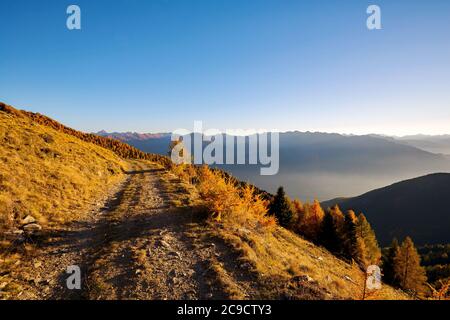 Piste de mule dans les hautes montagnes Banque D'Images