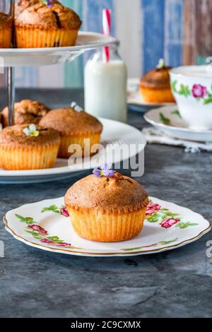 Beignets aux mûres et aux amandes fraîchement préparés - petits gâteaux, populaires en Australie et en Nouvelle-Zélande Banque D'Images