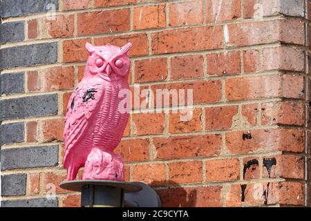 Ipswich, Suffolk, Royaume-Uni - 30 juillet 2020 : hibou rose vif sur le mur de l'hôtel Salt House Harbour. Banque D'Images