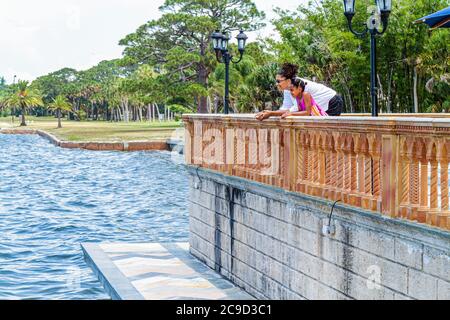 Sarasota Florida, John et & Mable Ringling Museum of Art, domaine, CA d'Zan Mansion, Sarasota Bay Water, Black Blacks African African Ethnic minorité, mot Banque D'Images