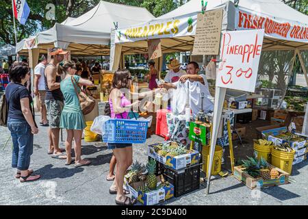 Saint-Pétersbourg Floride,Progress Energy Park,Farmers Market,Farmer's,Farmers',producestaall,stands,stand,stands,stands,fournisseurs,vendeurs,shopping sh shopper Banque D'Images