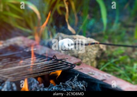 embuer les guimauves sur les brochettes au-dessus du feu à l'extérieur Banque D'Images