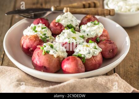 Jeunes pommes de terre bouillies à la crème sure et à l'oignon vert sur fond de bois Banque D'Images