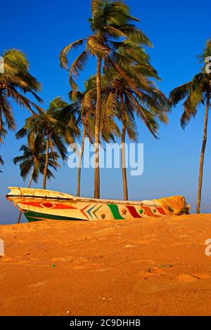 Bateau de pêche sous les palmiers sur l'océan Indien Banque D'Images