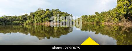 Vue depuis le kayak sur le mur de forêt tropicale verte sur le bord de la lagune dans la jungle amazonienne, enfer vert de l'Amazone. Selva à la frontière Banque D'Images