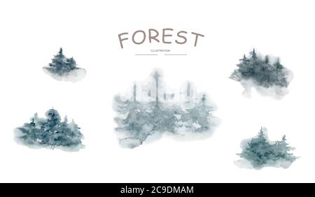Bois de conifères sauvage dans un brouillard le matin. Illustration d'arrière-plan d'aquarelle de forêt Banque D'Images
