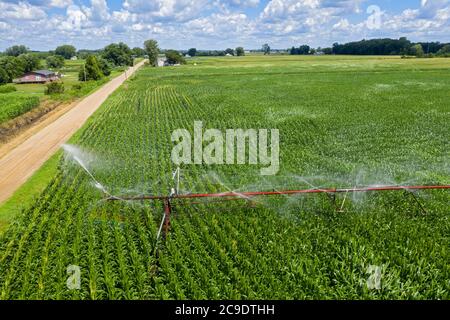Martin, Michigan - UN système d'irrigation à pivot central arrose un champ de maïs dans l'ouest du Michigan. Banque D'Images