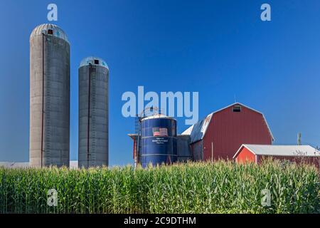 Shelbyville, Michigan - Silos sur une ferme dans l'ouest du Michigan. Banque D'Images