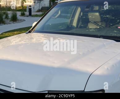 De nombreux résidents feront une demande d'assurance automobile après un événement de grêle extrême dans le Nord-est de Calgary le 13 juin 2020. Banque D'Images