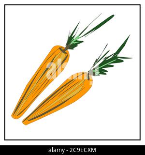 Carotte. Des images isolées de fruits sur fond blanc à partir d'un ensemble sur la nutrition, le végétalisme et le végétarisme appropriés. Illustration de Vecteur