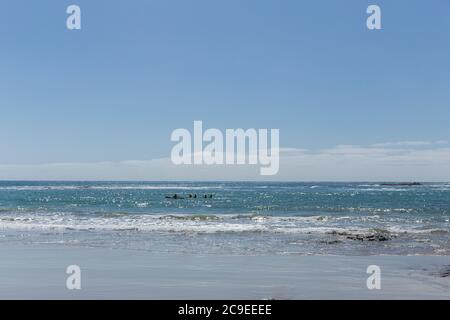 2 kayaks en mer au sanctuaire marin Marengo point Apollo Bay Australie Banque D'Images