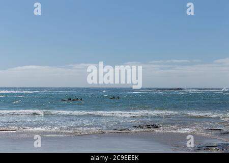 2 kayaks en mer au sanctuaire marin Marengo point Apollo Bay Australie Banque D'Images