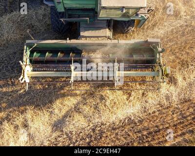 Moissonneuse-batteuse travaillant, moissonnant du grain dans les champs, machines agricoles en cours de travail. Banque D'Images