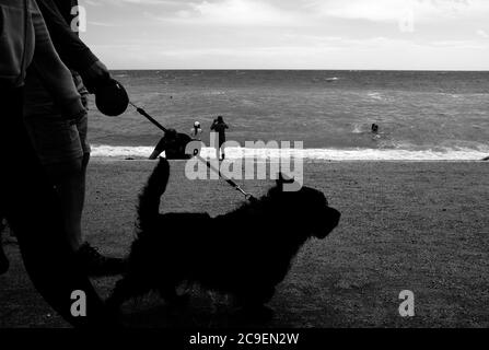 Marcher le chien en plomb sur le mur de la mer à Freshwater Bay sur l'île de Wight au bord de la mer. Banque D'Images