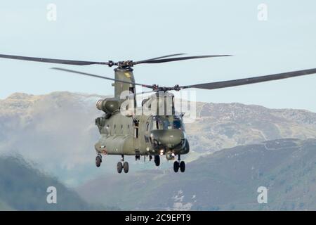 Chinook survolant l'estuaire du Mawddach Banque D'Images