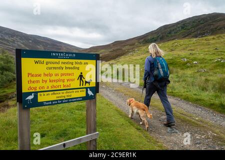 Panneau indiquant aux randonneurs de garder les chiens sur les pistes en raison de la nidification des oiseaux sur la Jock's Road, Invercauld Estate près de Braemar en Écosse, au Royaume-Uni. Banque D'Images