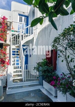 Maisons colorées, portes et fenêtres bleues et rouges et beaucoup de fleurs dans la vieille ville de l'île de Mykonos, Grèce. Banque D'Images